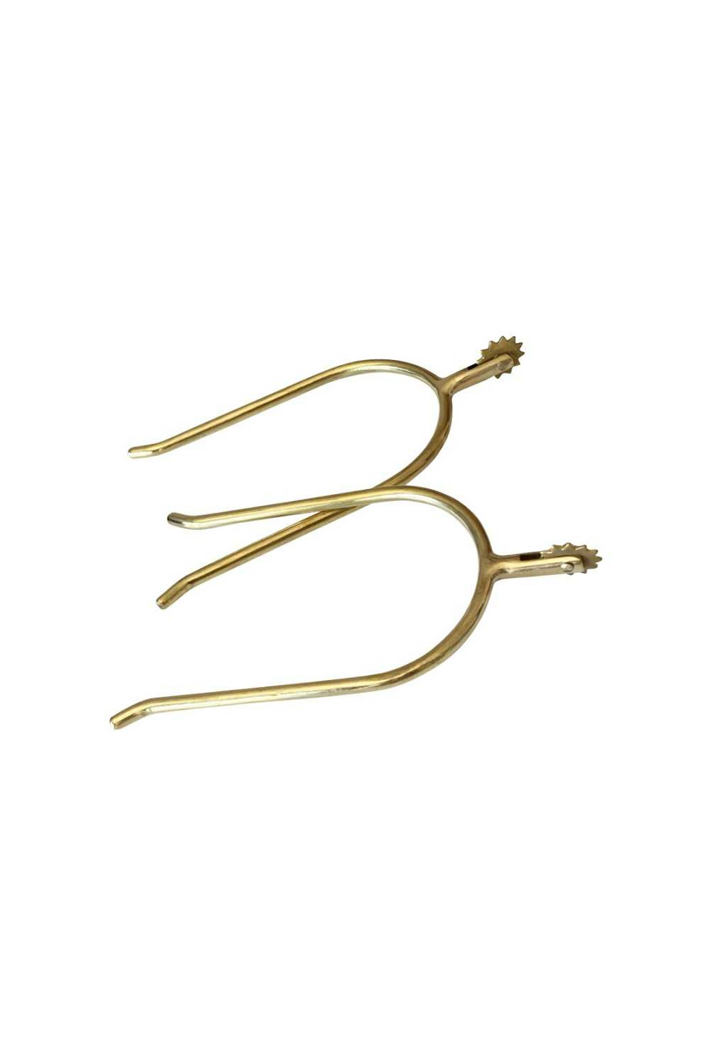 ESPUELÃN PORTUGUÃ‰S DORADO GALLO CORTO CON ESTRELLA