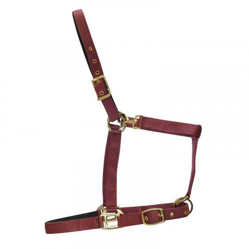 CABEZADA DE NYLON CON REFUERZO DE CUERO 2