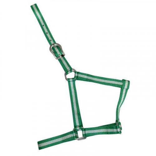 CABEZADA DE NYLON ECONÃ“MICA 2