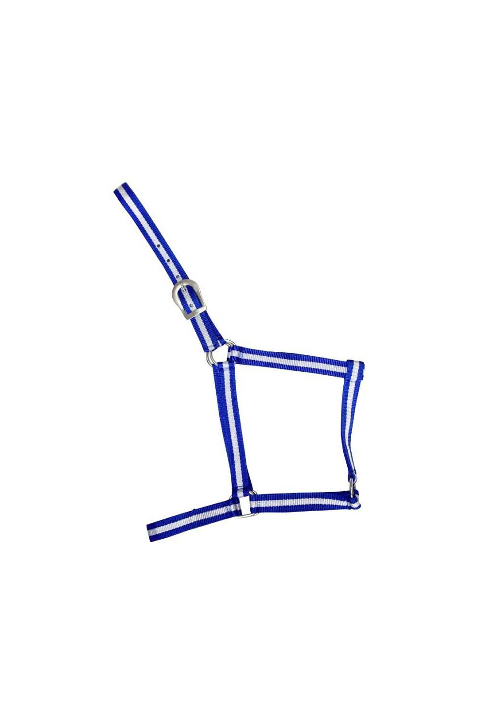 CABEZADA DE NYLON ECONÃ“MICA