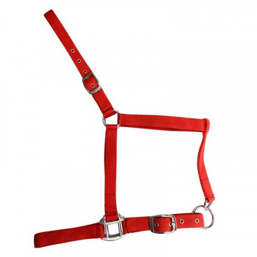 CABEZADA DE NYLON SENCILLA 2