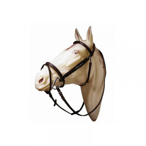 CABEZADA CON MUSEROLA Y FRONTALERA ALOMADAS 2