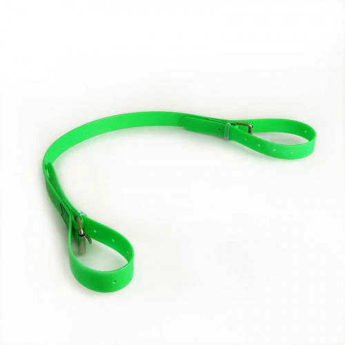 CORREA DE RAMASSAGE DE BIOTANE 2