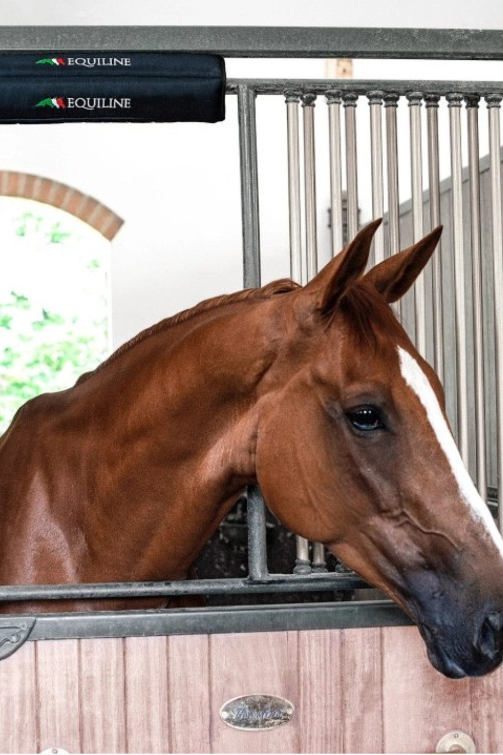 PROTECTOR BOX PARA NUCA EQUILINE