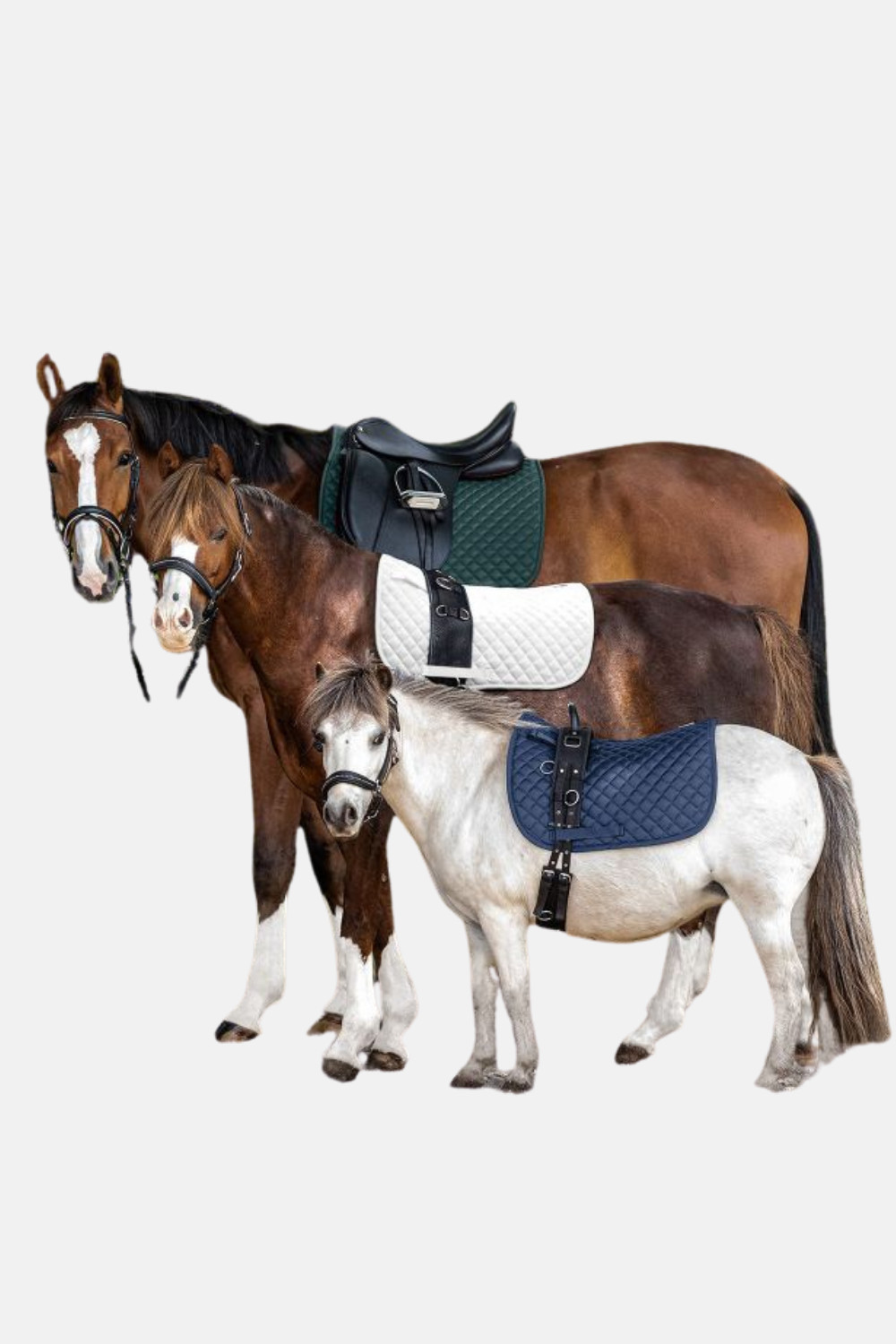 Mantilla Felix Waldhausen