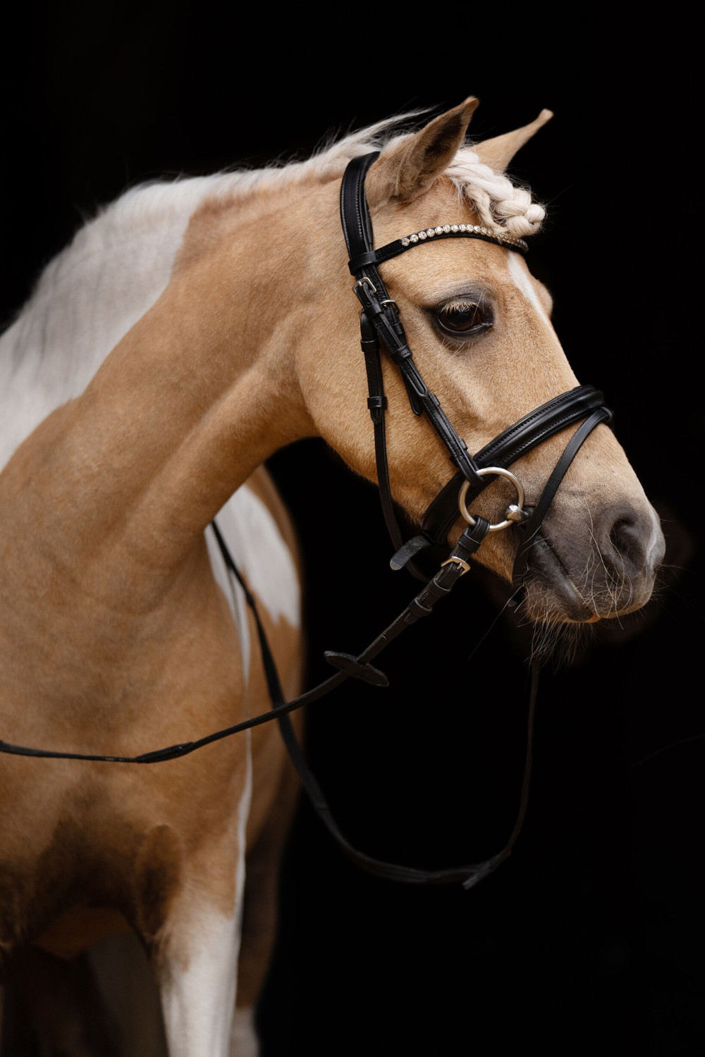 CABEZADA DIAMOND HKM