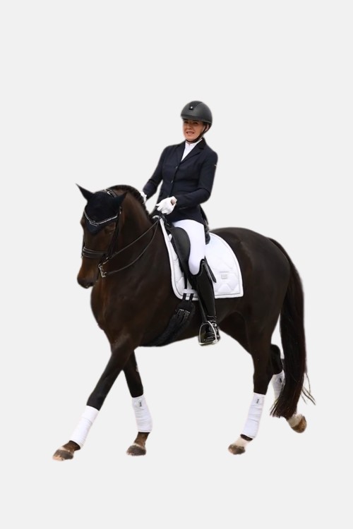 Vendas White Perfection Silver Equestrian Stockholm 2