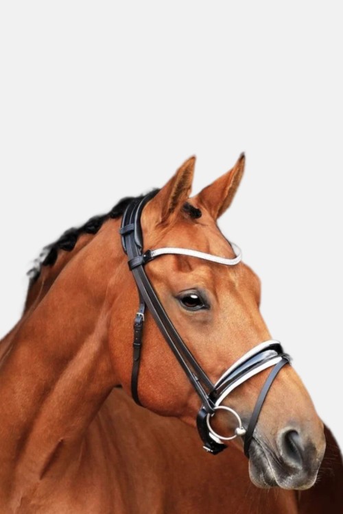 BRIDA CORNETTO SD DESIGN 2