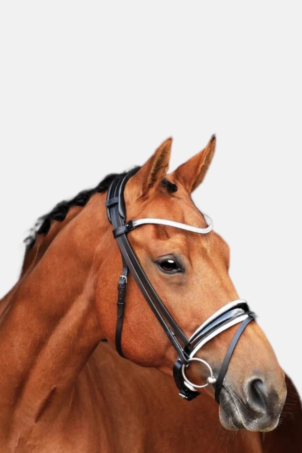 BRIDA CORNETTO SD DESIGN