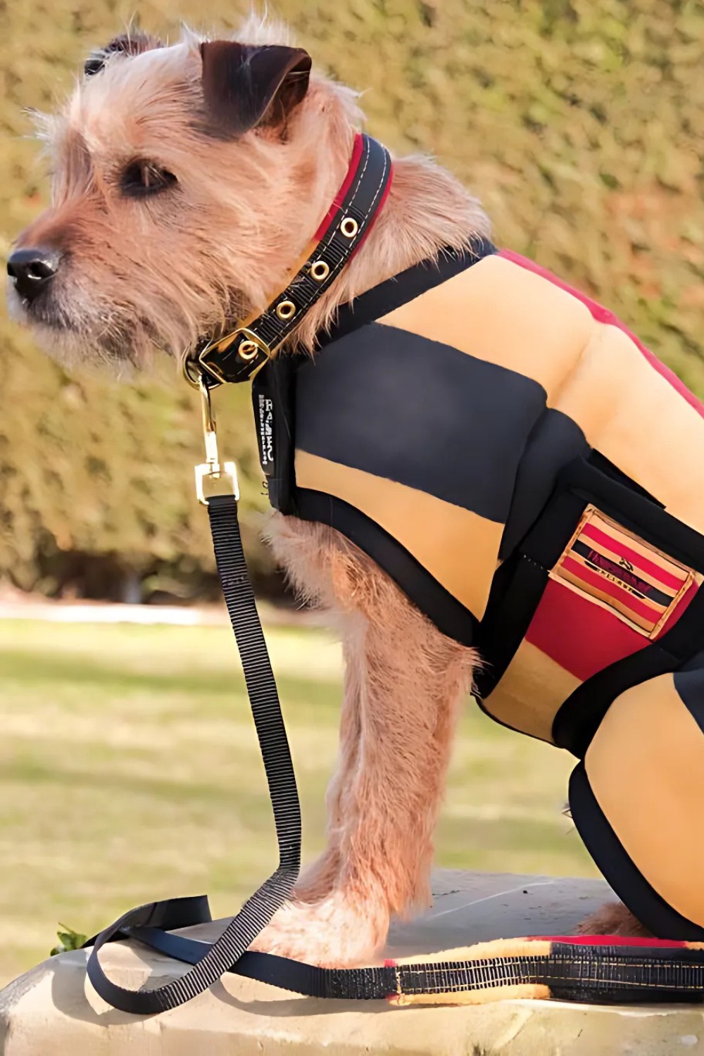 Manta rambo para perros polar newmarket