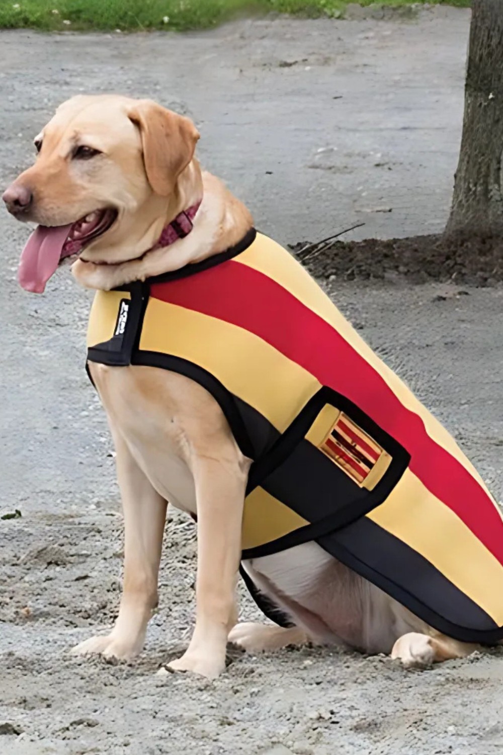 Manta rambo para perros polar newmarket