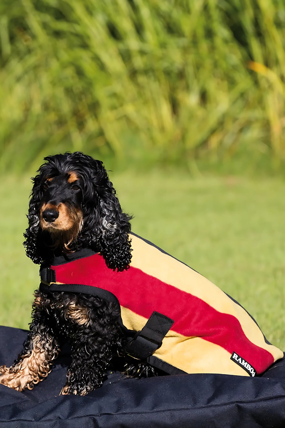 Manta rambo para perros polar newmarket