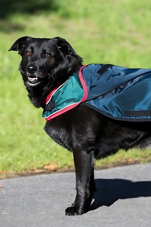 Manta rambo para perros impermeable con forro