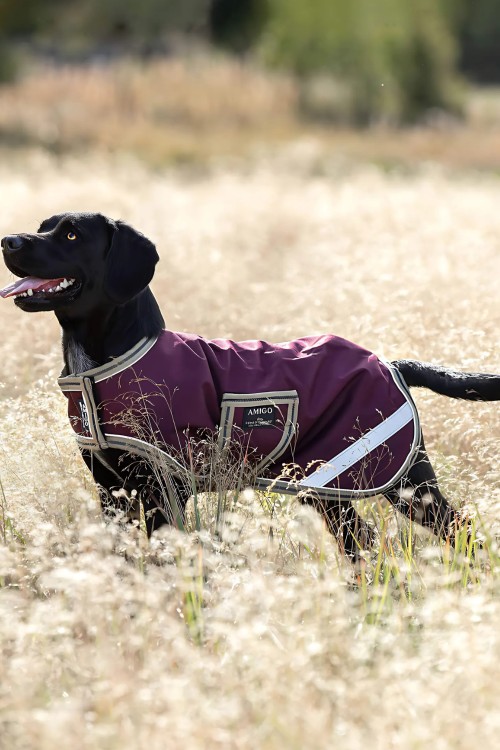 Manta amigo para perros impermeable 2