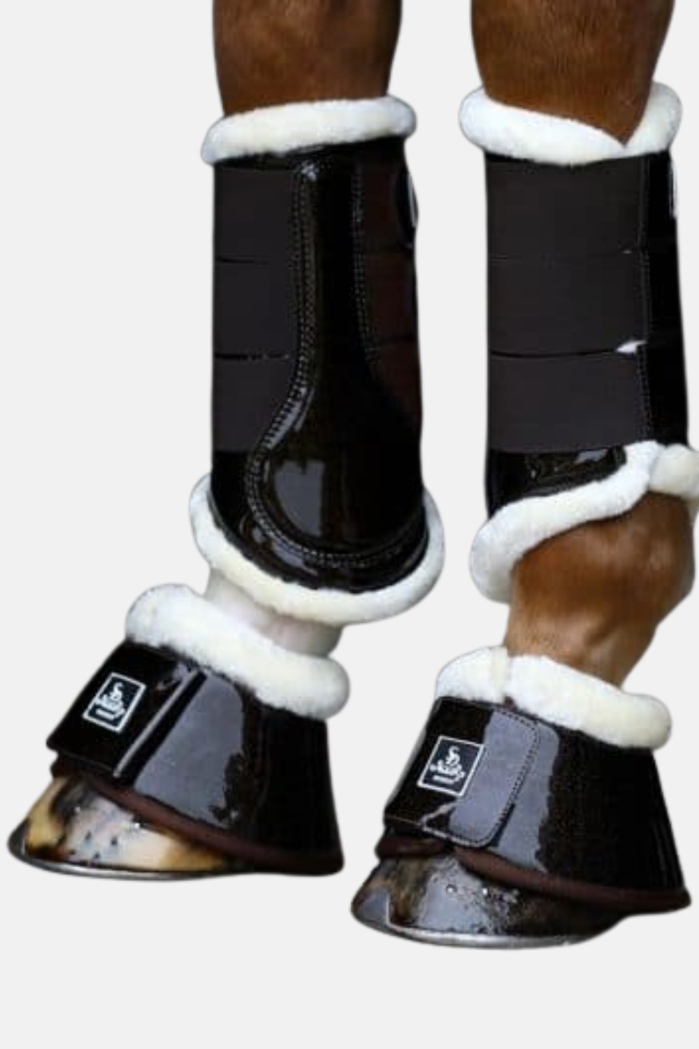 Campanas Hollywood Glamorous SD DESIGN