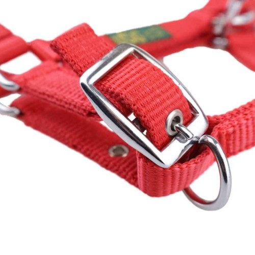 Cabezada de potro USG 2