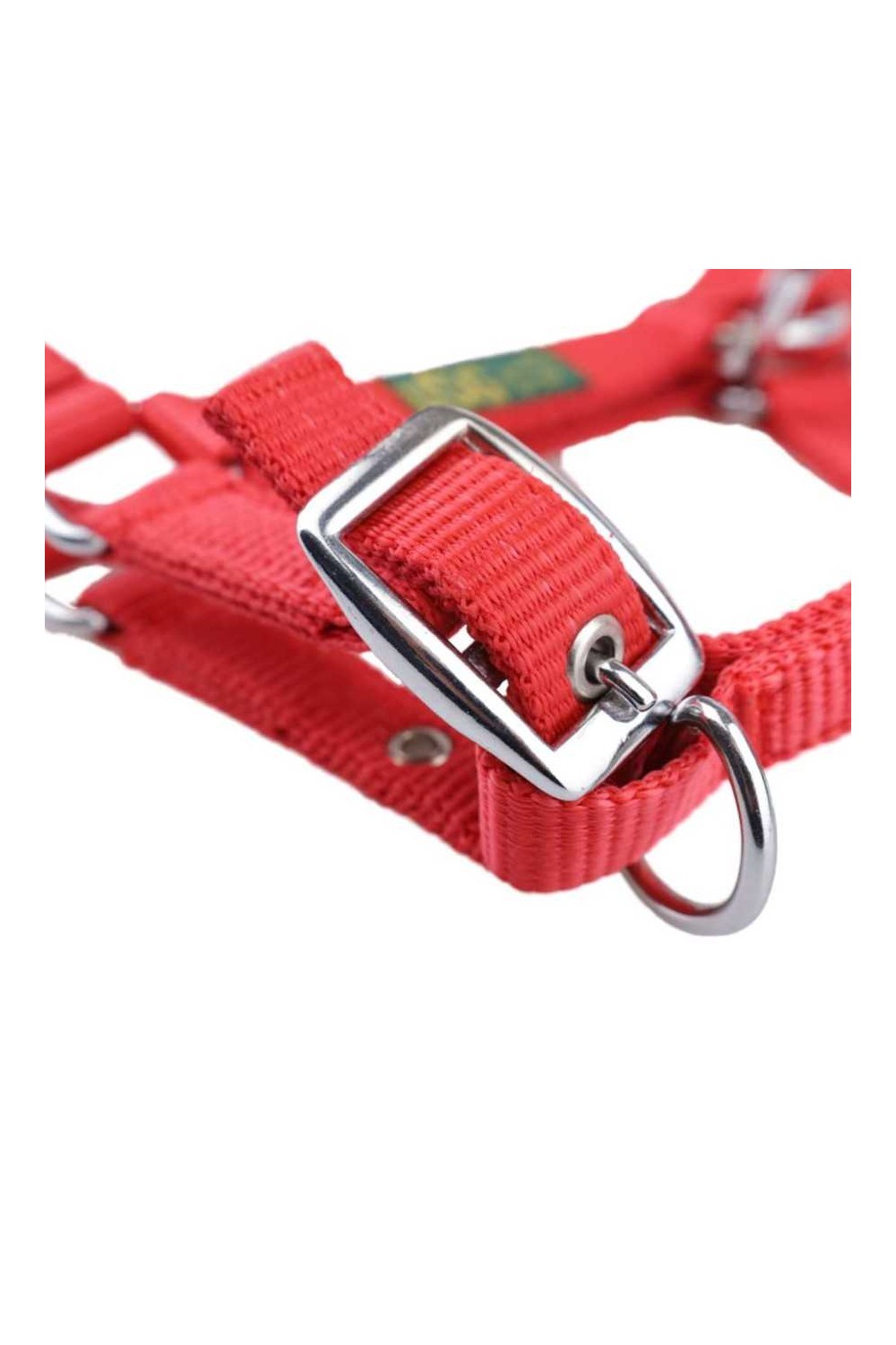 Cabezada de potro USG