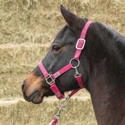 Cabezada de nylon Everyday USG 2