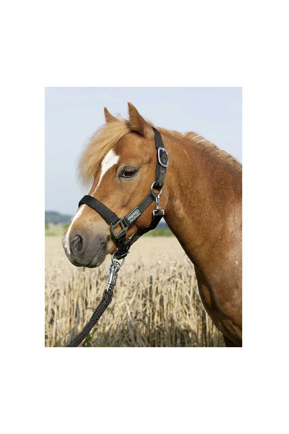 Cabezada de nylon Everyday USG