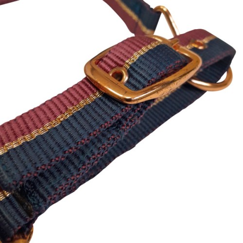 Cabezada de nylon con refuerzo en neopreno 2