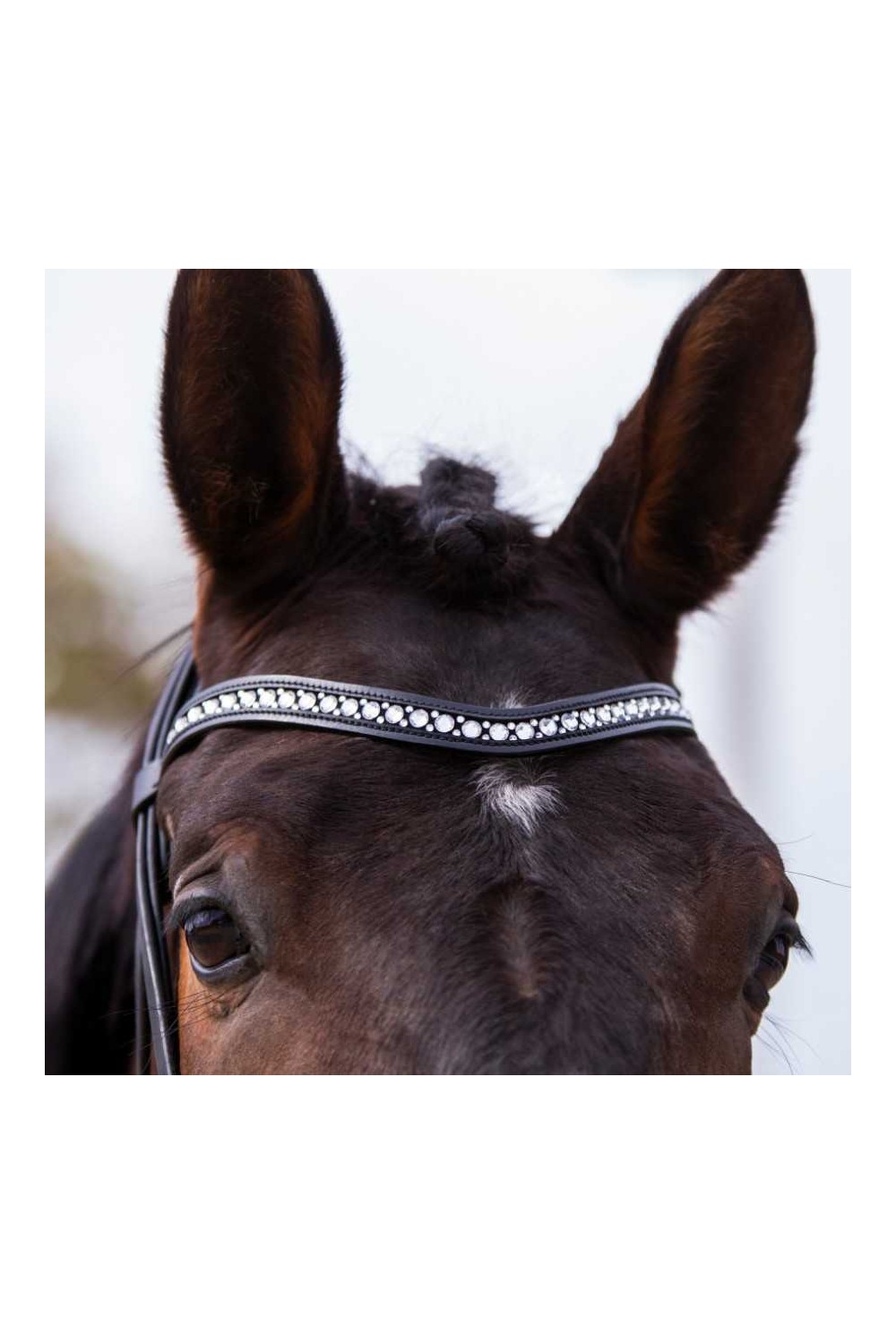 Cabezada para filete ergonÃ³mica con frontalera decorada y riendas de lona