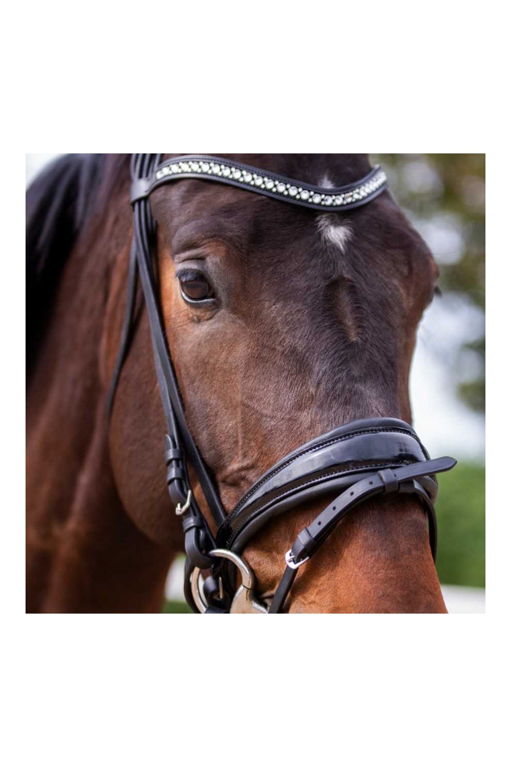 Cabezada para filete ergonÃ³mica con frontalera decorada y riendas de lona