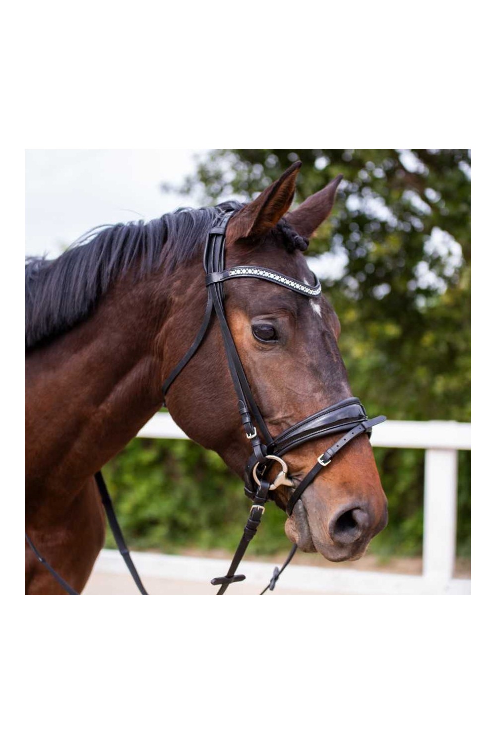 Cabezada para filete ergonÃ³mica con frontalera decorada y riendas de lona