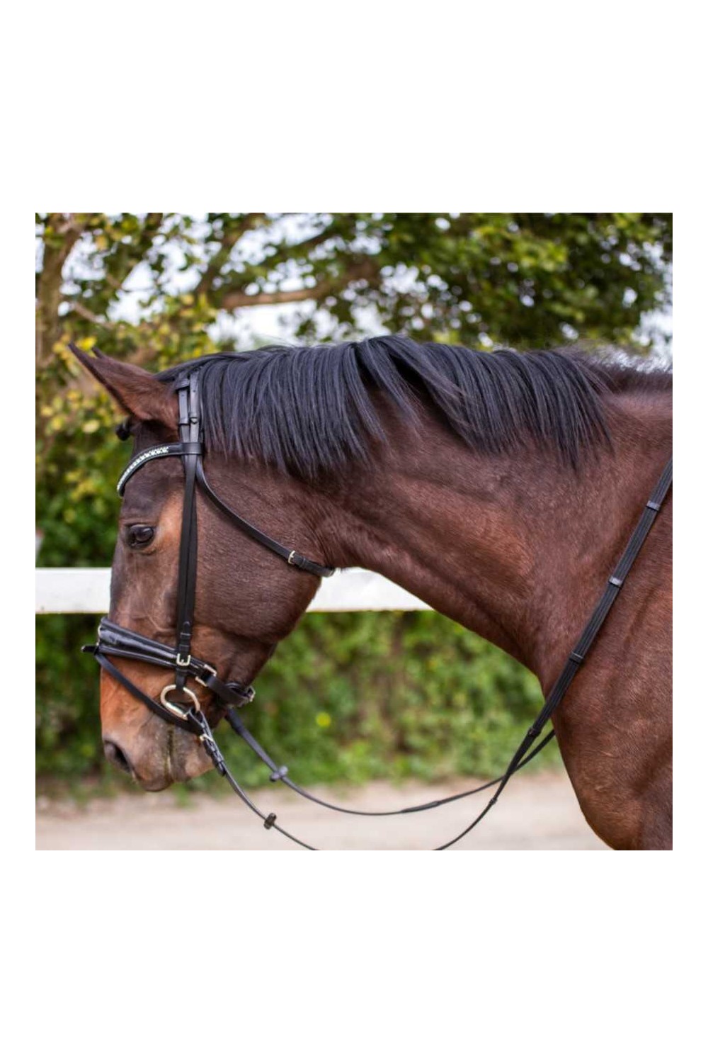Cabezada para filete ergonÃ³mica con frontalera decorada y riendas de lona