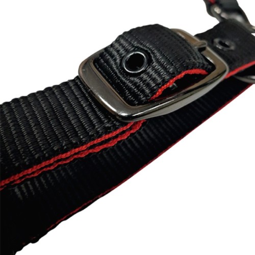 Cabezada de nylon con refuerzo en neopreno, hebilla negra 2