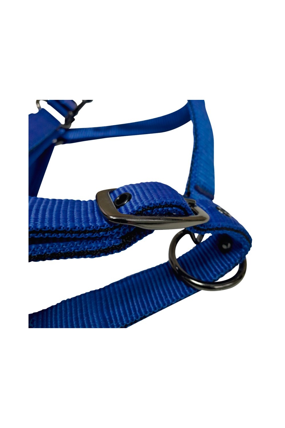 Cabezada de nylon con refuerzo en neopreno, hebilla negra