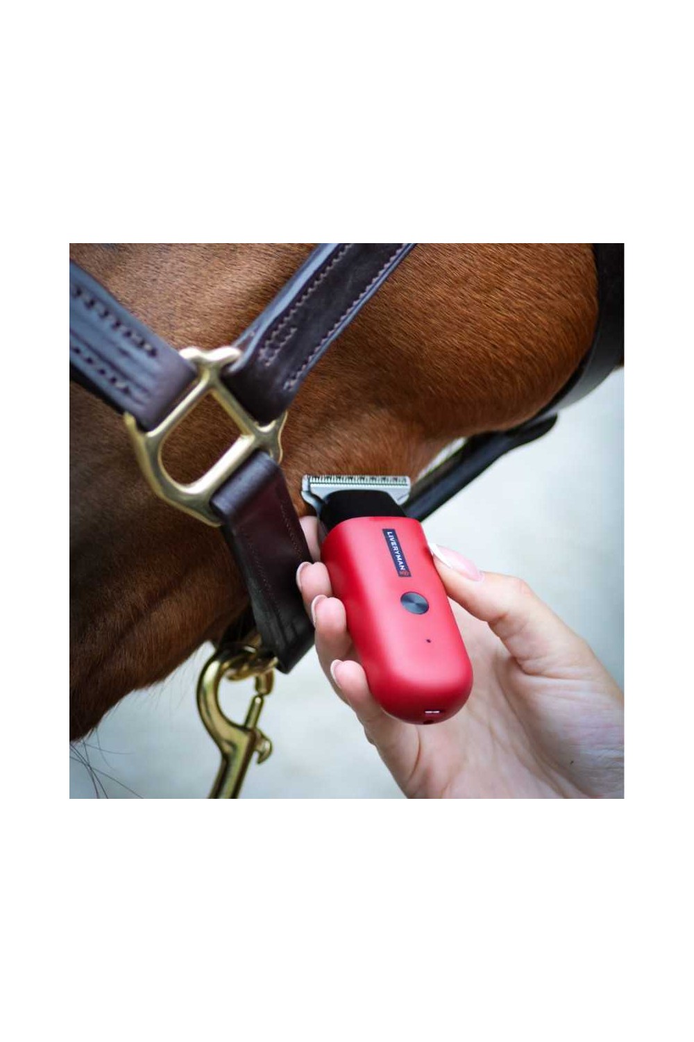 Esquiladora de retoques Robin Liveryman