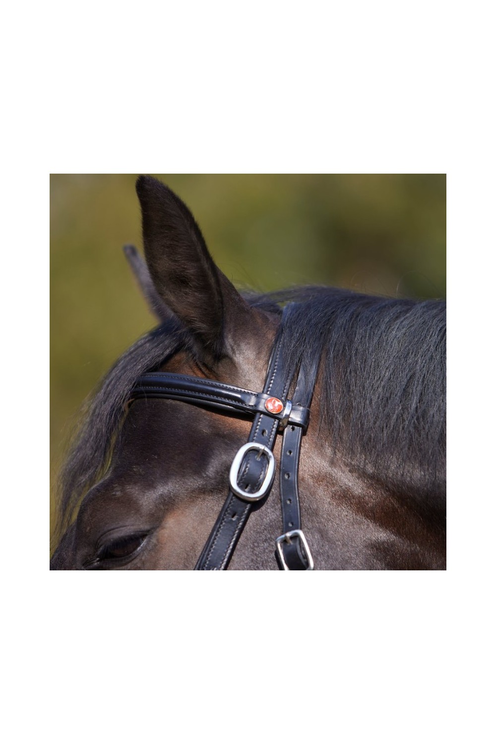 Cabezada Kieffer LK-Combi