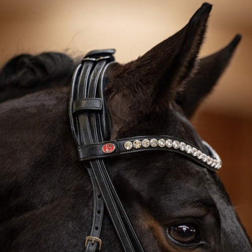 Cabezada para filete Kieffer Lina 2