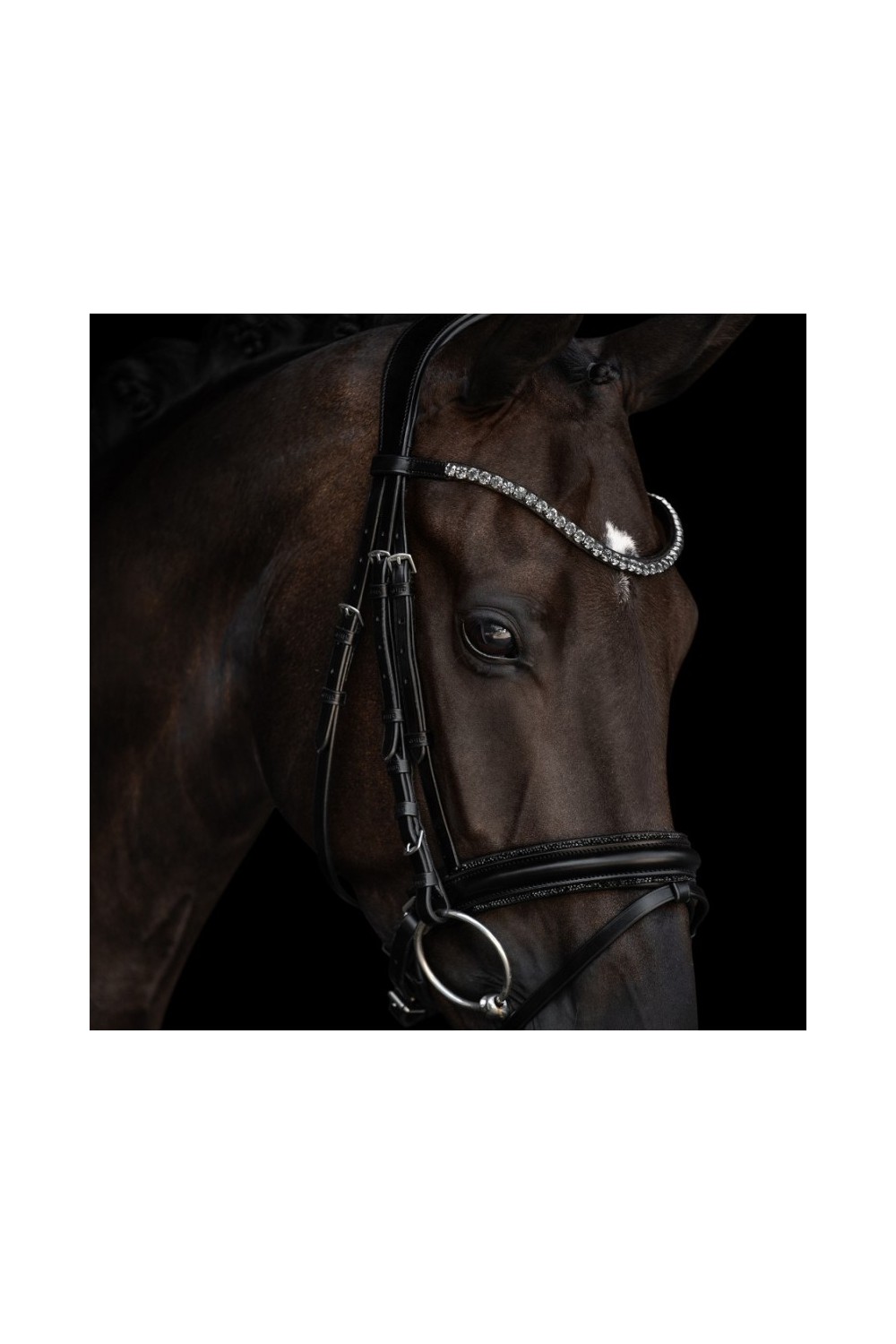 Cabezada para filete Kieffer Grace