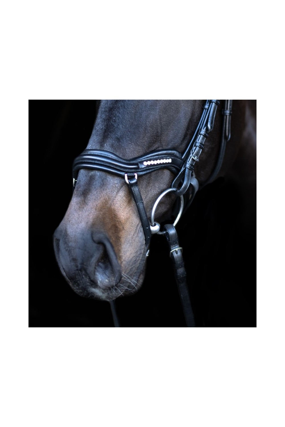 Cabezada para filete Kieffer Ultrasoft Luna