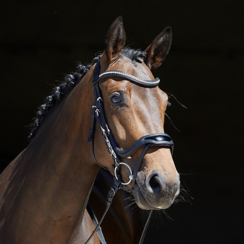 Cabezada para filete Kieffer Softtech Line Anouk 2