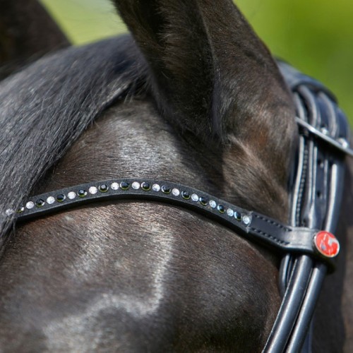 Cabezada para filete Kieffer Sylvie II 2