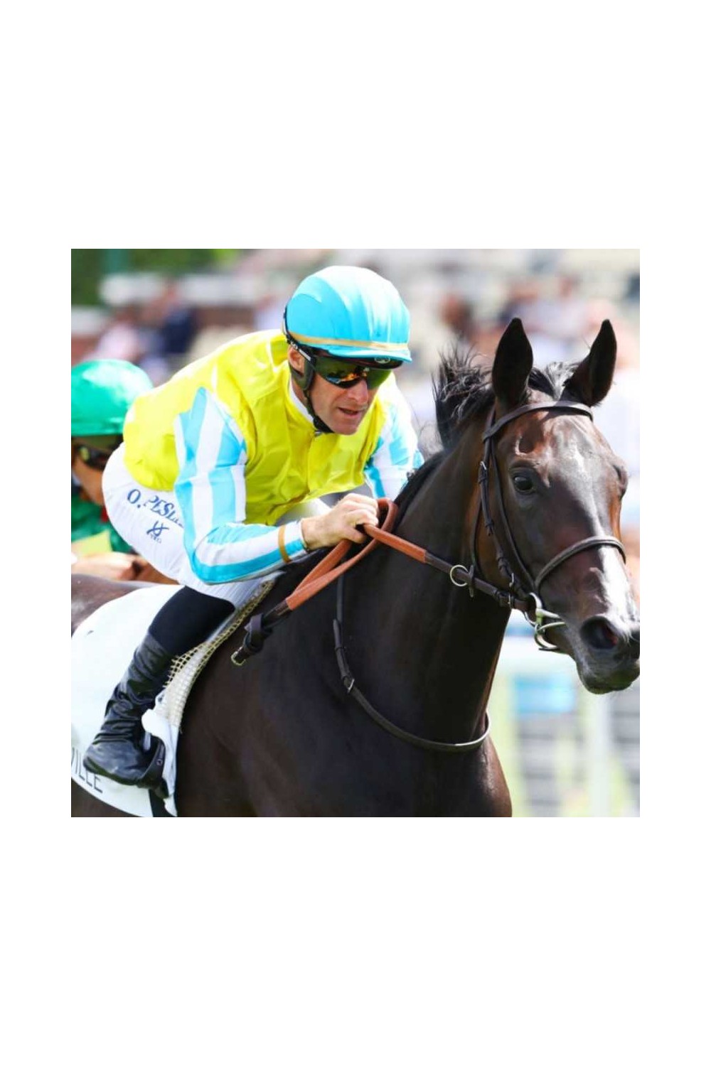 Estribo Compositi X-Race