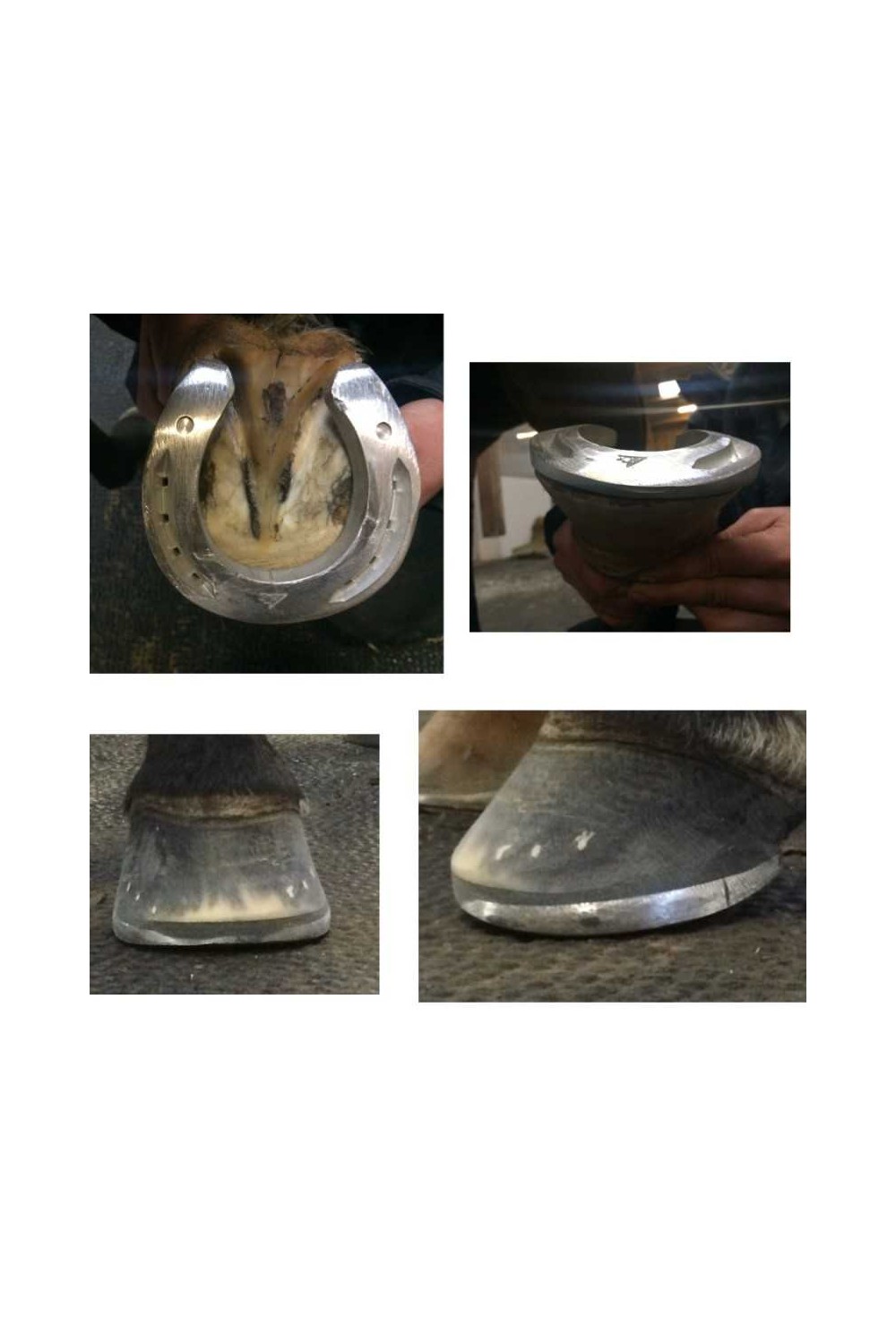 Herradura aluminio ACR 360 Banana (unidad)