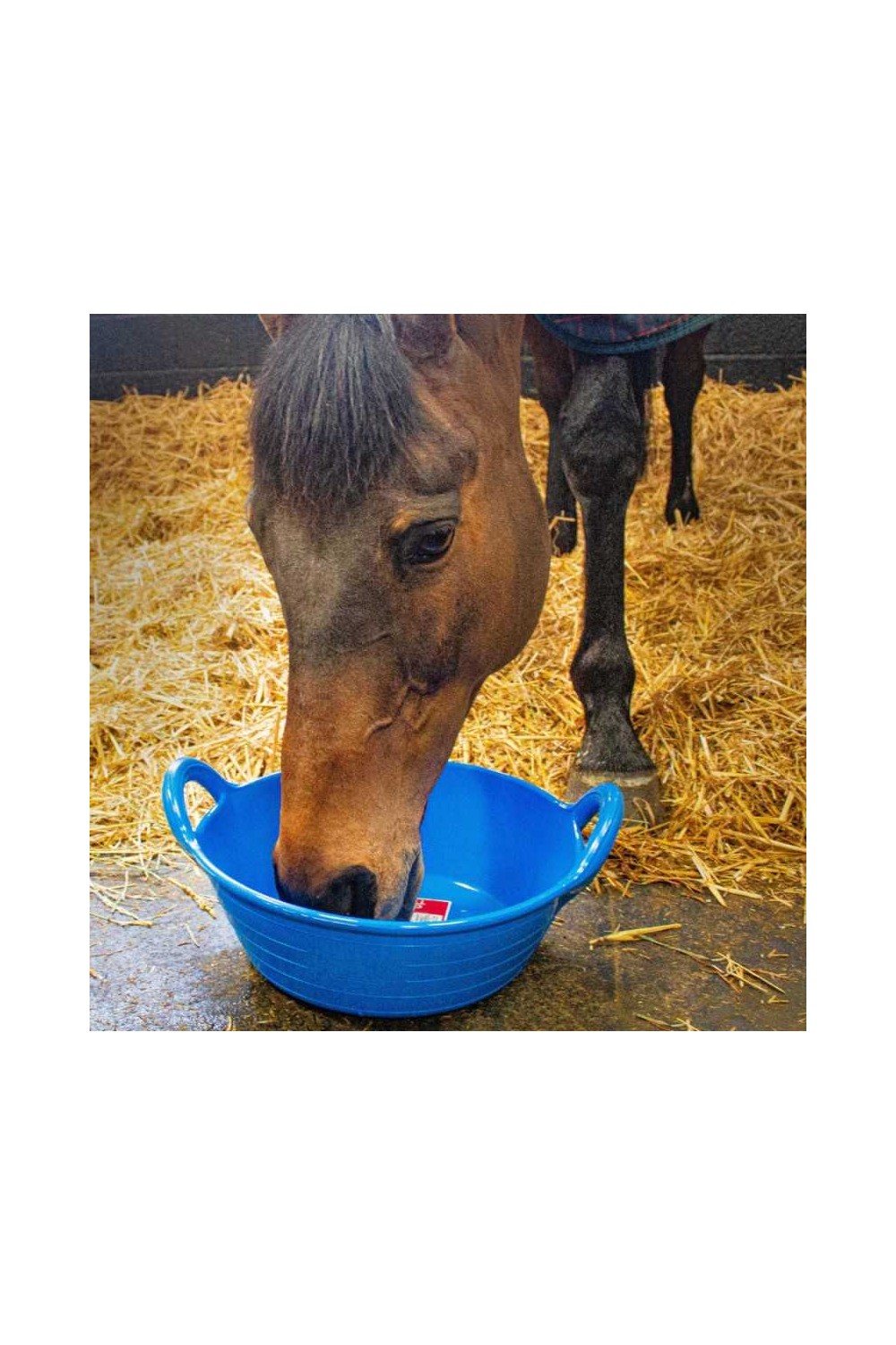 Espuerta Red Gorilla de 11 litros con dos asas