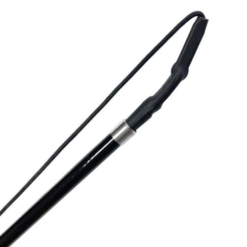 Tralla telescÃ³pica 2