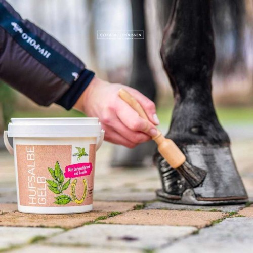 POMADA DE CASCOS AMARILLA BENSE & EICKE 2