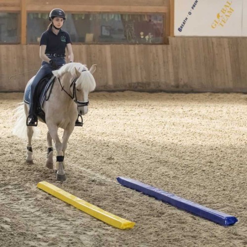 Poste para trabajo en tierra USG 2