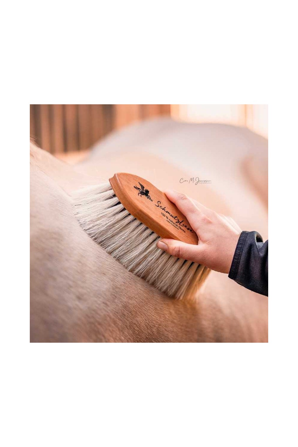 Cepillo de fibra 100% natural B&E SchmutzLiese