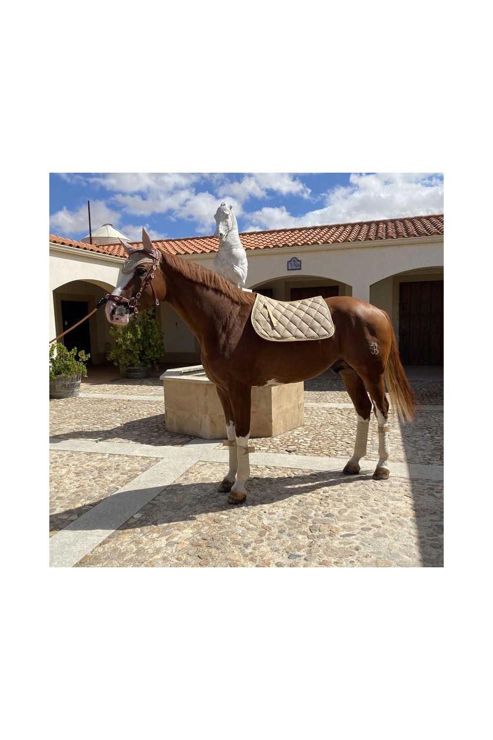 Juego de mantilla + orejeras + vendas