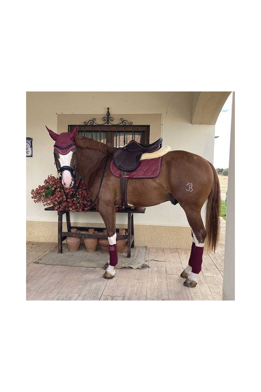 Juego de mantilla + orejeras + vendas