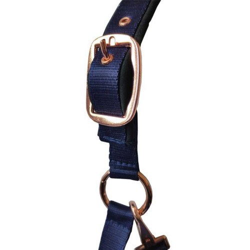 Conjunto cabezada + ramal DaslÃ¶ Gold 2