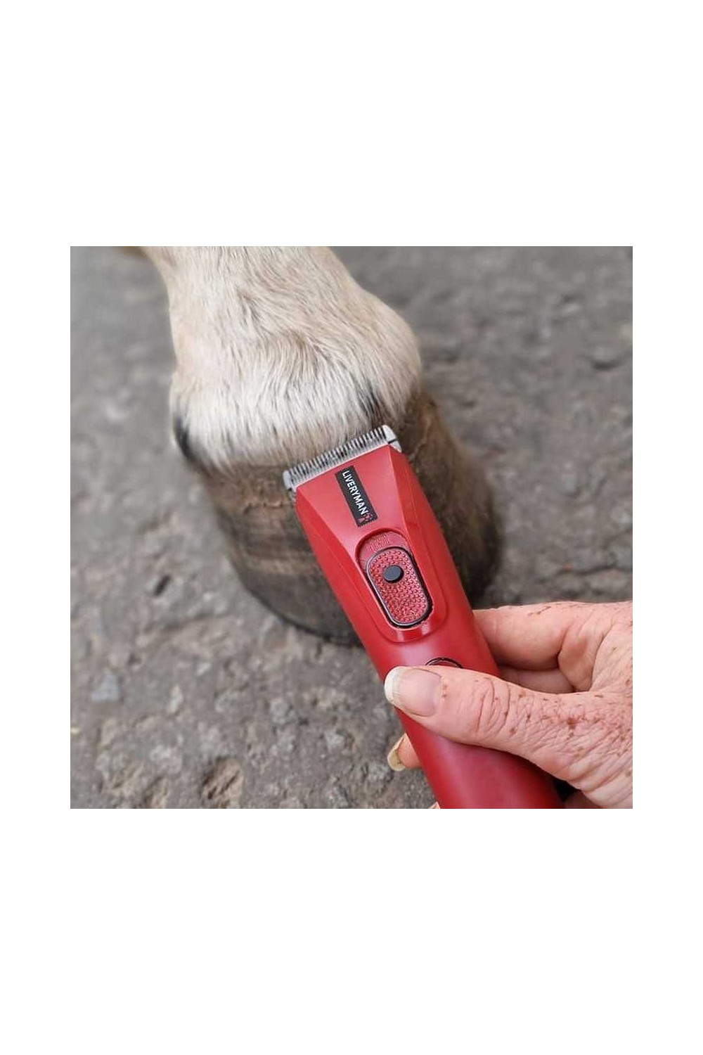 ESQUILADORA LIVERYMAN NOVA