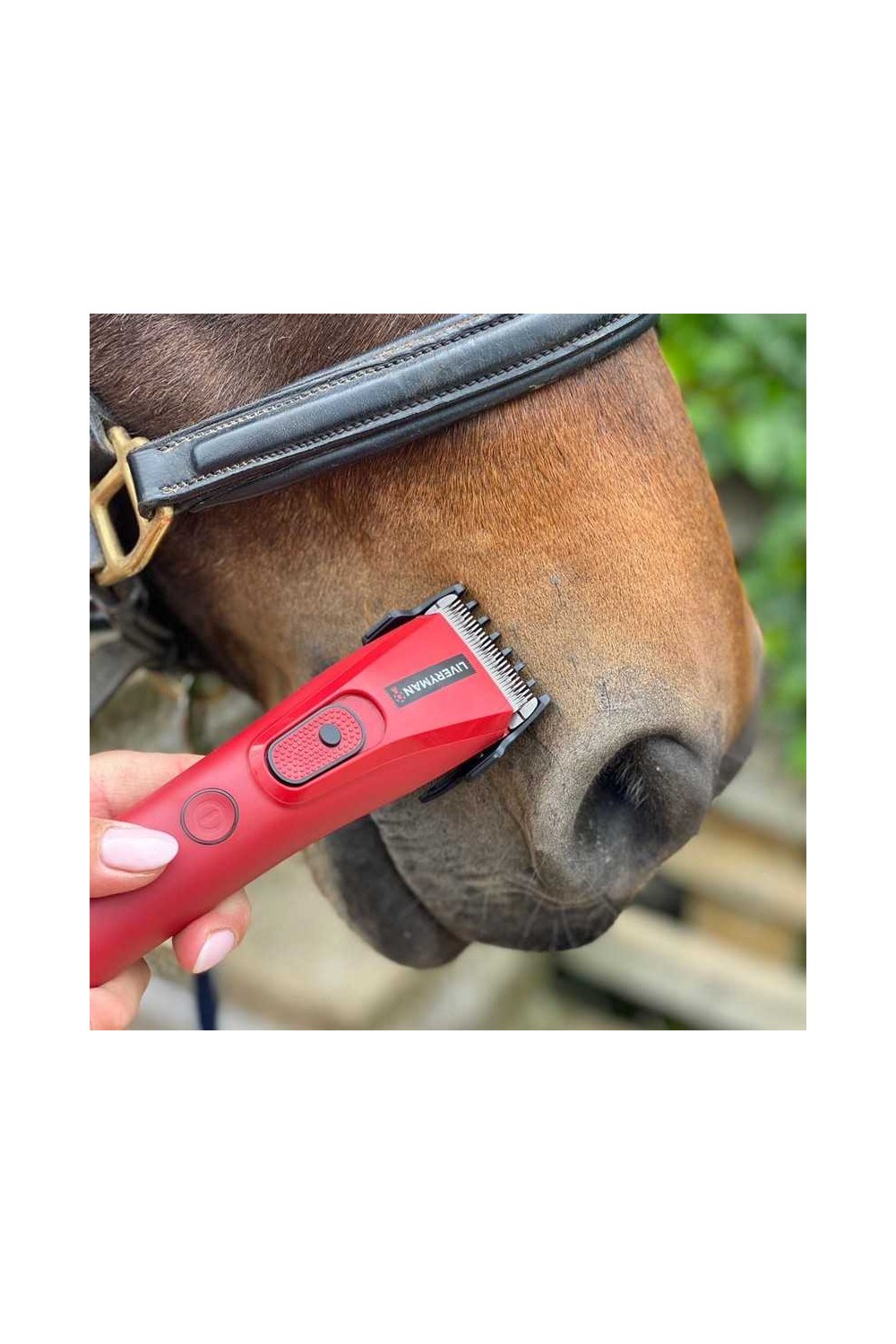 ESQUILADORA LIVERYMAN NOVA