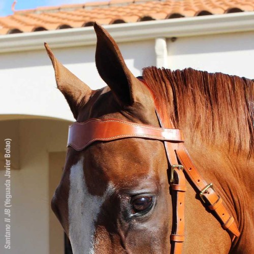 CABEZADA MARJOMAN MODELO PORTUGUÃ‰S DE TRABAJO 1 RIENDA 2